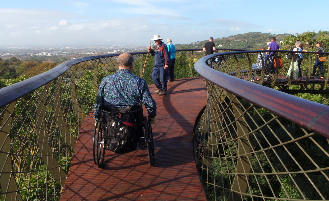 Photograph of diverse users on the accessible Boomslang walkway at Kirstenbosch